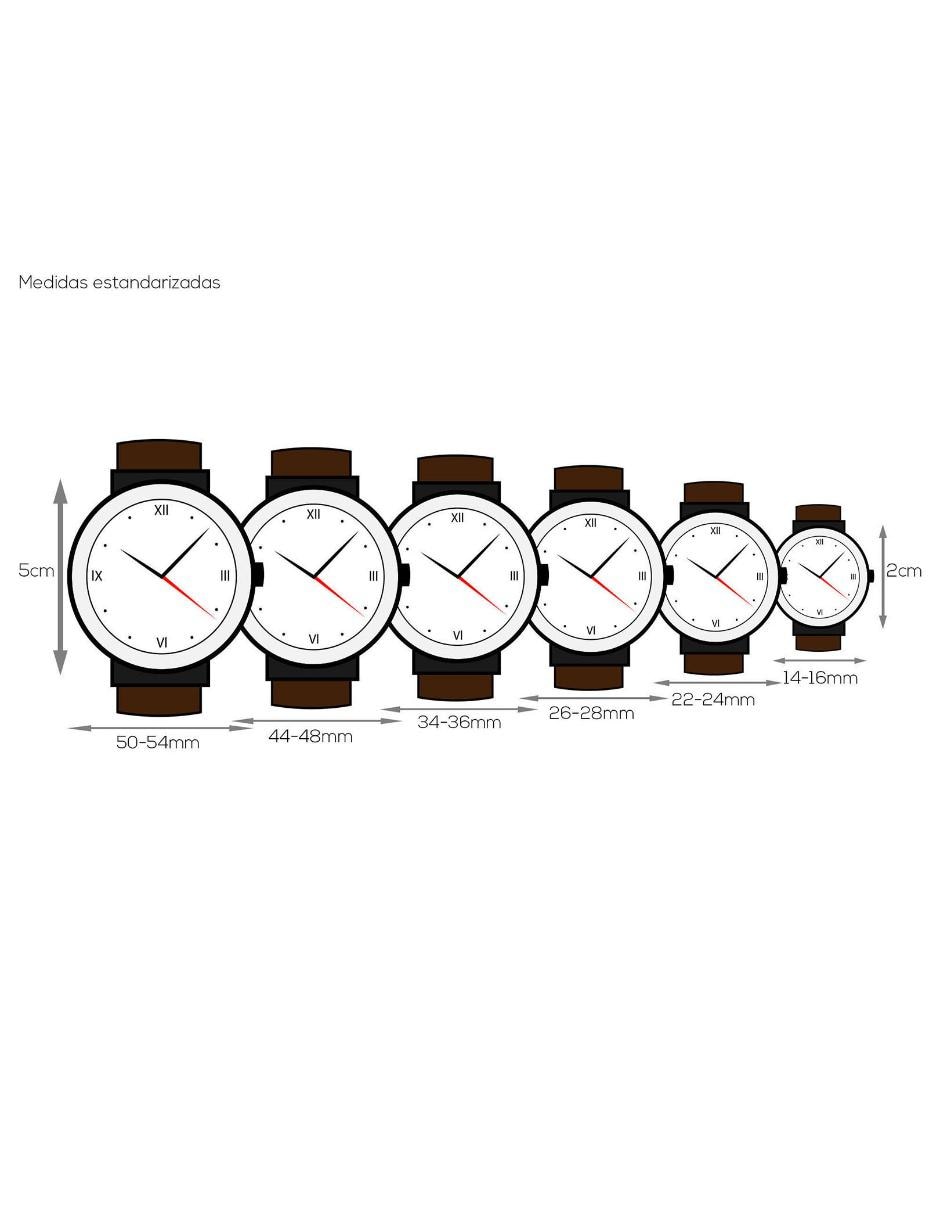 Reloj The Minimalist 3H para hombre FS5439
