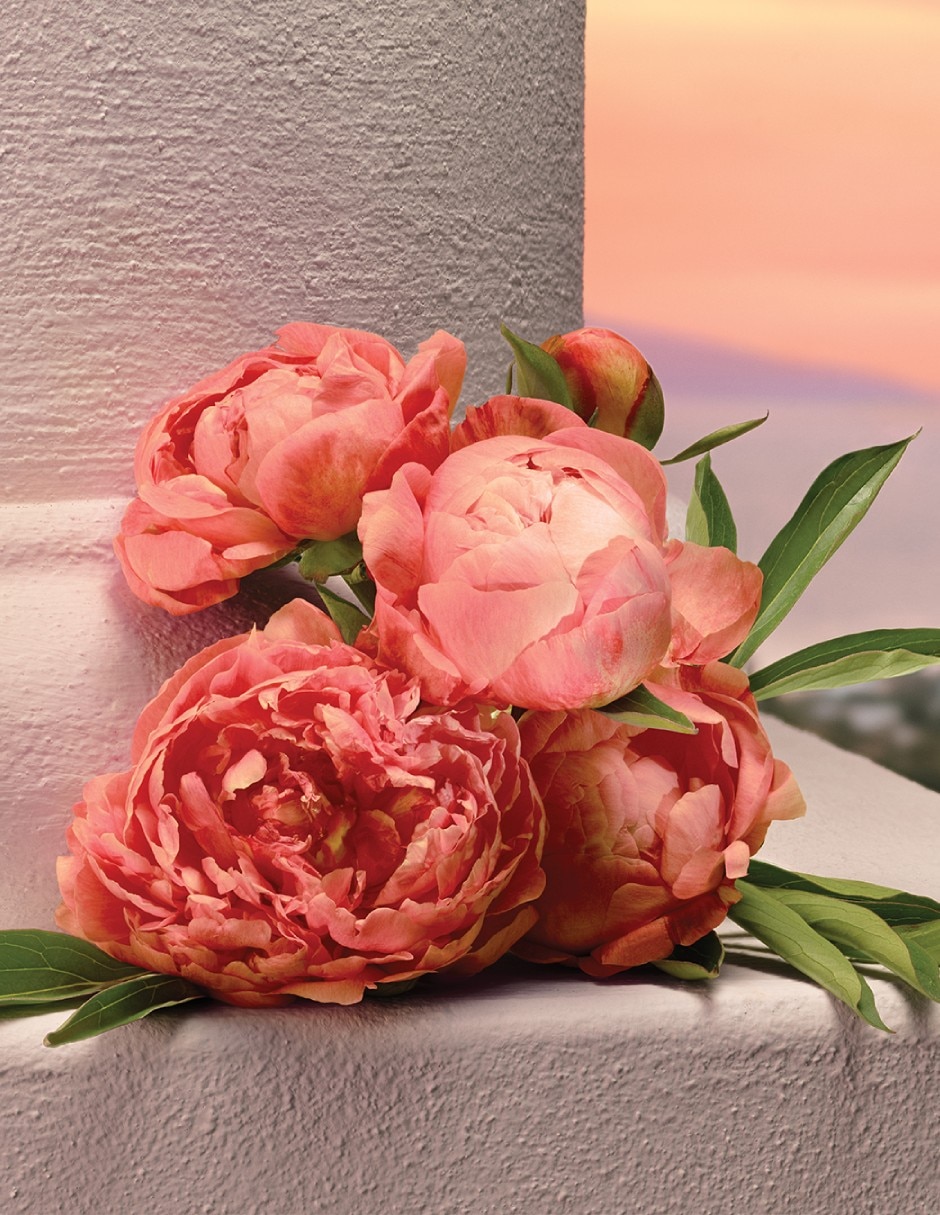 Eau de parfum Dolce& Devotion para mujer