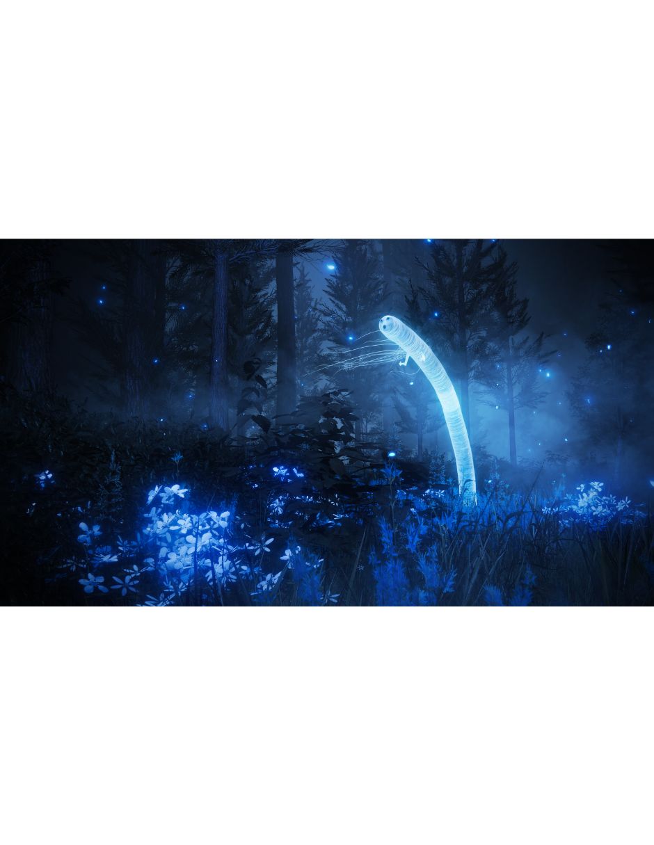 Elden Ring Shadow Of The Erdtree especial para PS5