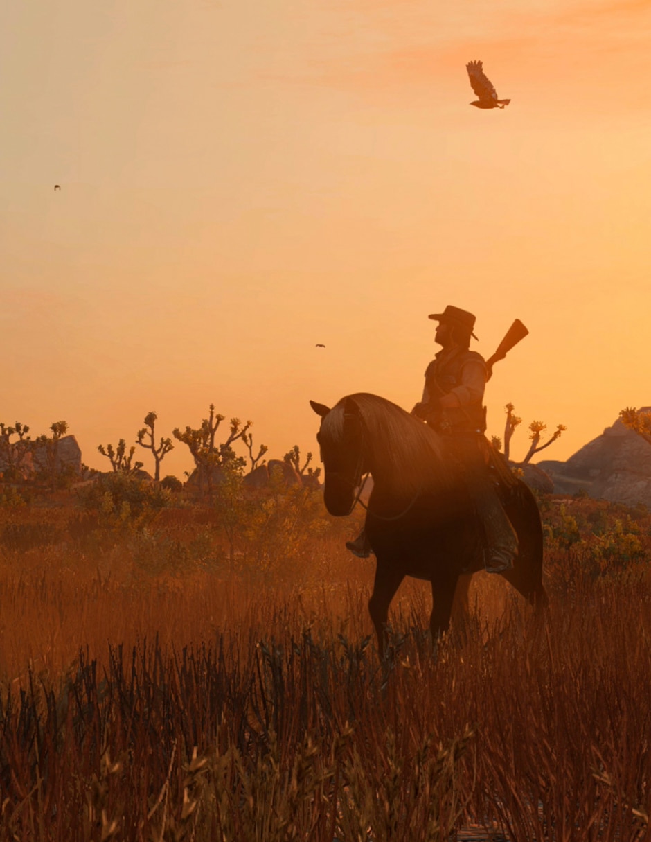 RED DEAD REDEMPTION estándar para Nintendo Switch